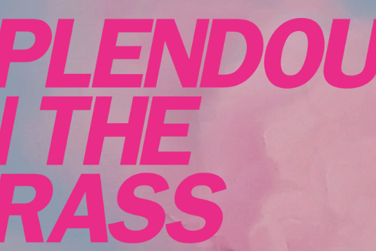 Splendour in the Grass