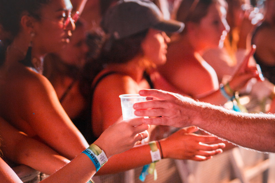 About our Festival & Concert Program